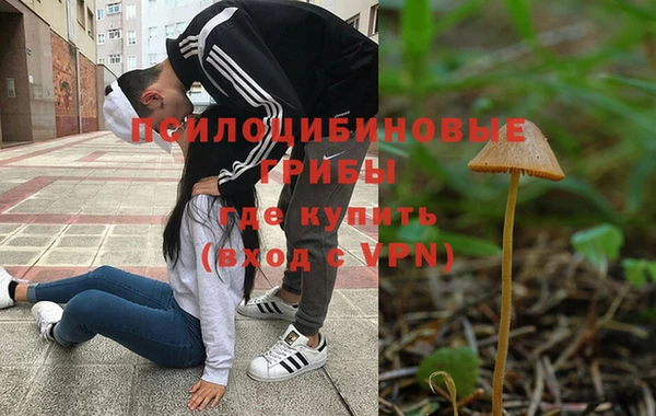 метадон Алексин