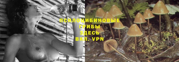 молекула духа Алзамай