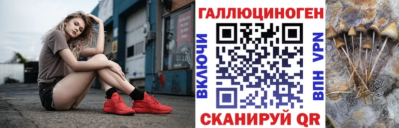 Псилоцибиновые грибы MAGIC MUSHROOMS Любань